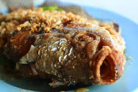 ปลาแรดสะแกกรัง